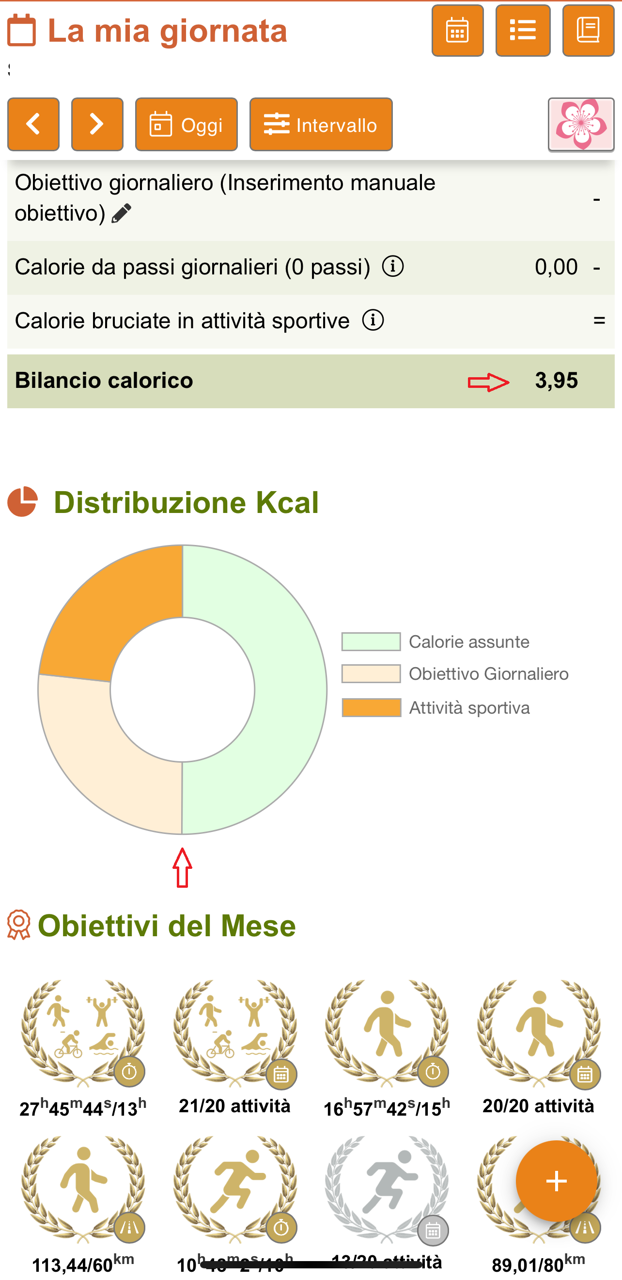 Duplica Attività Fisica 8