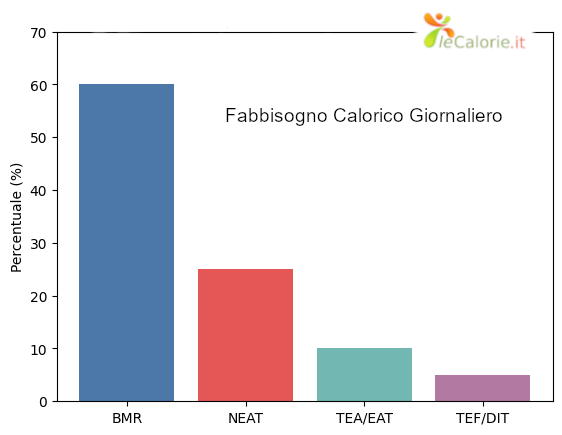 Metabolismo Basale e Fabbisogno Calorico Giornaliero 4